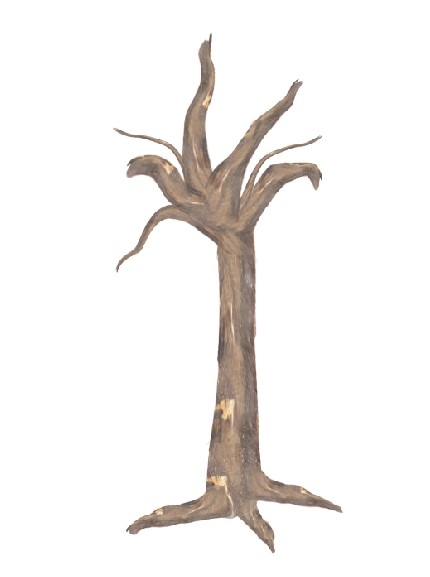 Creation of Tree: Step 4